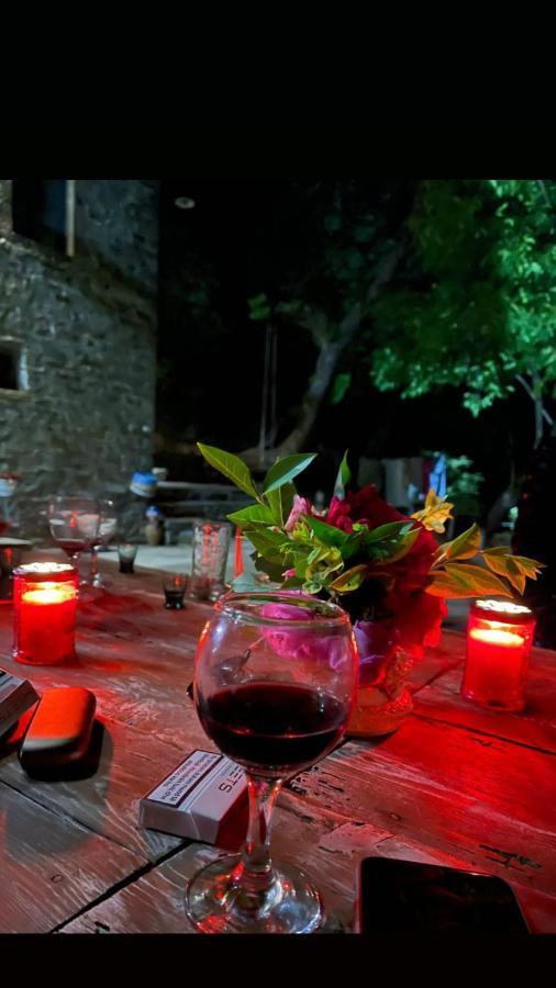Traditional Guesthouse Përmet エクステリア 写真